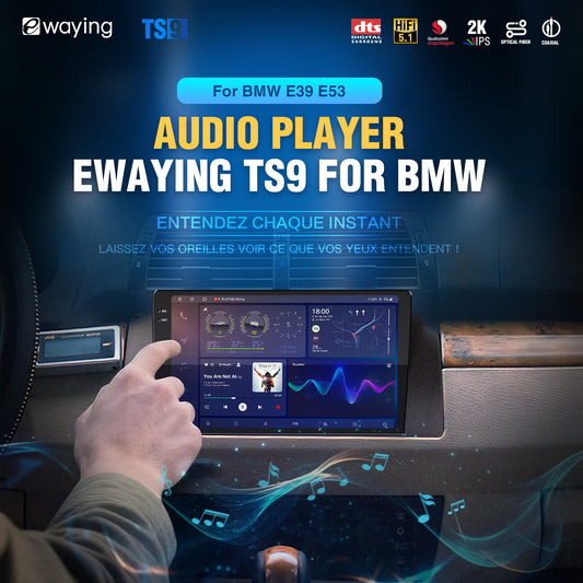 Autoradio stéréo Android 8 + 256 Go pour BMW Série 5 X5 E39 E53 M5 1996-2006, lecteur audio sans fil CarPlay, caméra de recul Android Auto